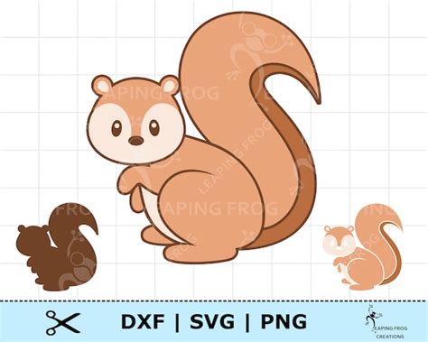 Cute Squirrel Svg Png Dxf Whole And Layered Files Digital Etsy