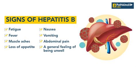 Defending Against Hepatitis B Causes Symptoms Prevention