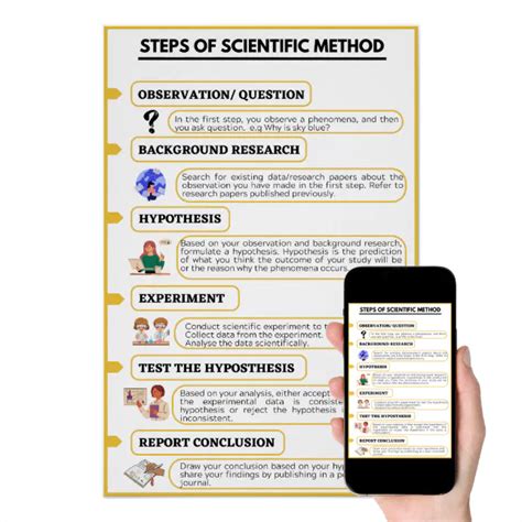 Steps Of The Scientifc Method Poster Zazzle