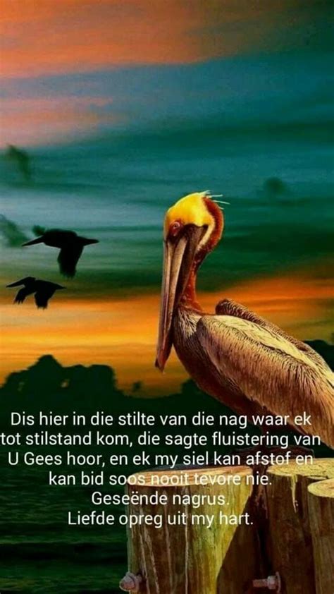 Geseënde Nagrus Goeie Nag Good Night Blessings Good Morning Inspirational Quotes