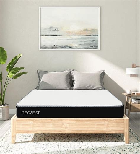 Buy Neosouble 6 Inch Memory Foam Orthopedic Queen Size Mattress By