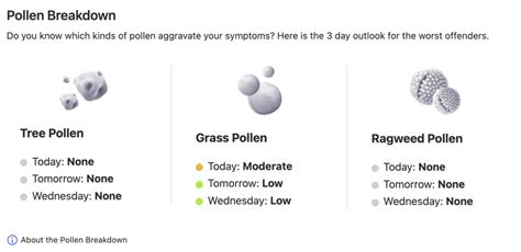 Gathering Spores And Allergy Insight