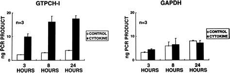 Cytokines Stimulate Gtp Cyclohydrolase I Gene Expression In Cultured