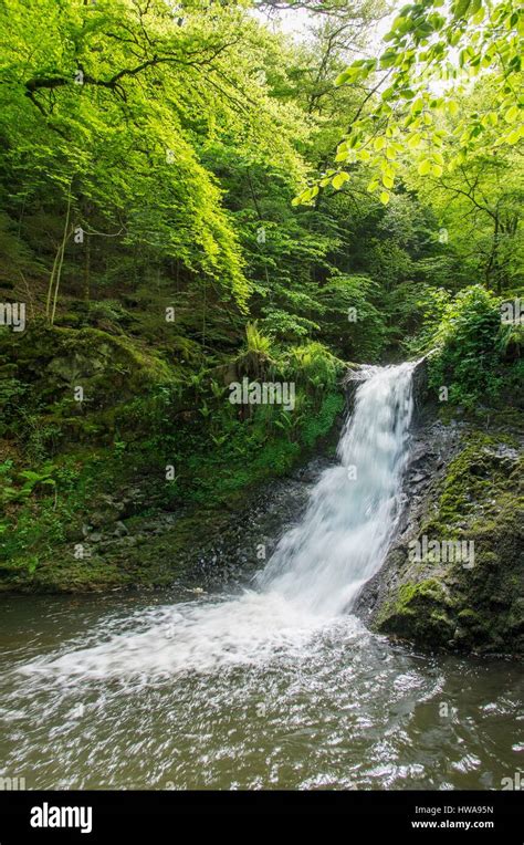 France Puy De Dome Besse En Chandesse Cascade Of Chiloza Couze