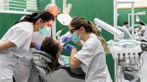 Comment Devenir Dentiste Parcours Et Organisation Des études En