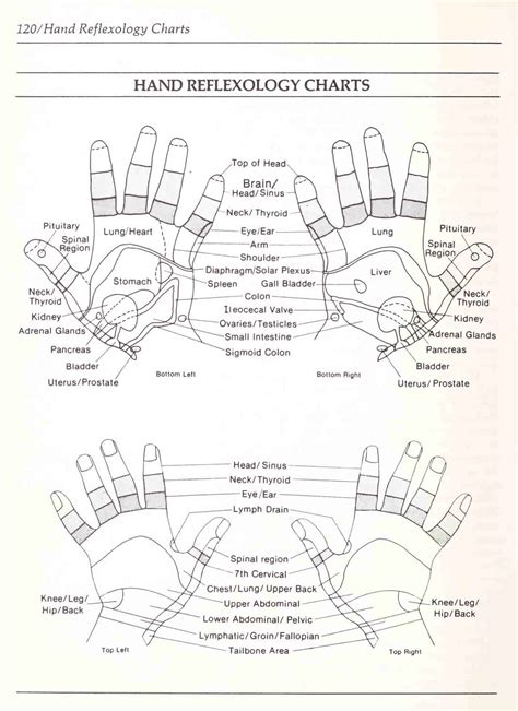 Free Printable Hand Reflexology Templates [charts Maps] Pdf