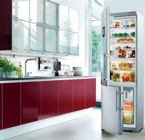 Refrigerator Zanussi (20 photos): built-in models, reviews