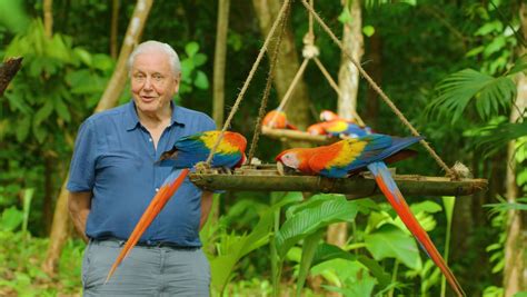 New David Attenborough Nature Doc LIFE IN COLOR Drops Trailer