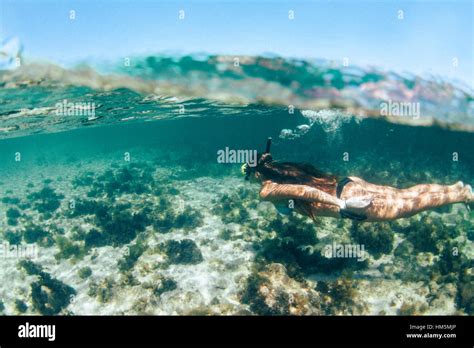 Side View Of Woman In Bikini Snorkeling Underwater Stock Photo Alamy