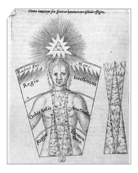 An Old Drawing Shows The Four Main Areas Of Human Body And How They Are