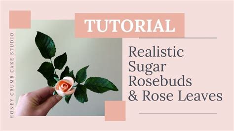 How To Make A Realistic Sugar Rosebud Rose Leaves Gumpaste Rosebud