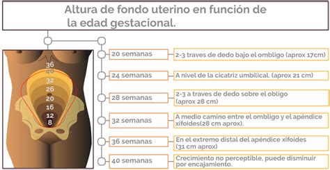 Unidad didáctica 4 Aplicación del proceso de enfermería a la mujer