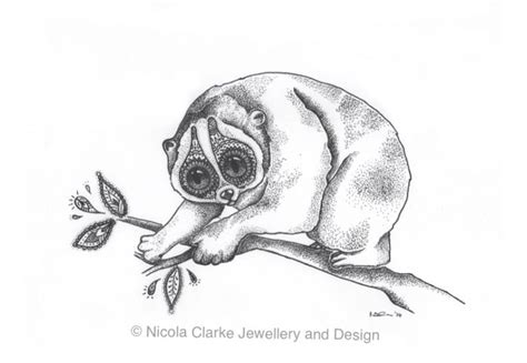 Slow Loris Print Nicola Clarke