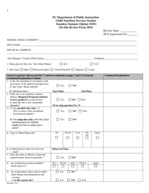 Fillable Online SSO On Site Review Form Fax Email Print PdfFiller