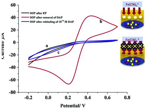 Cyclic Voltammograms Of A MIP Au Pt NPs GCE After MIP Synthesis B