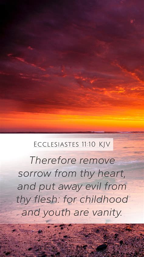 Ecclesiastes 11 10 KJV Mobile Phone Wallpaper Therefore Remove Sorrow