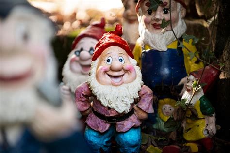 Free Photo | Group of different funny garden gnomes