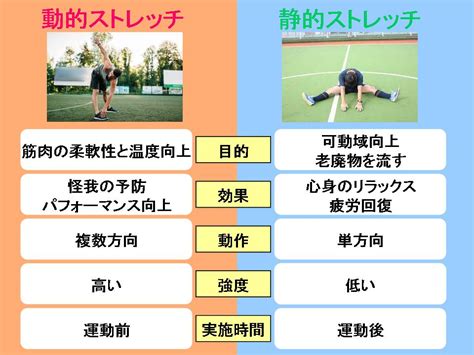 動的ストレッチと静的ストレッチ Isports行橋 スタッフブログ