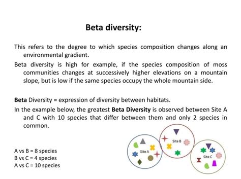 9 Captivating Facts About Beta Diversity - Facts.net