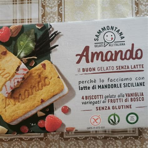 Sammontana 4 Biscotti Gelato Alla Vaniglia Variegati Ai Frutti Di Bosco