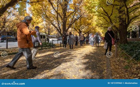 Gente Caminando Por La Avenida Ginkgo Tokyo Jap N En Oto O Imagen