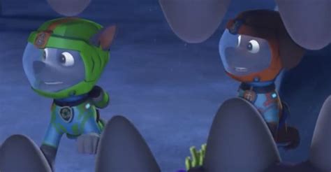 Scuba Suit Rocky And Zuma Though Whales Mouth In Paw Patrol Paw