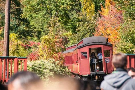 5 Fall Foliage Train Rides Perfect For Autumn In New York