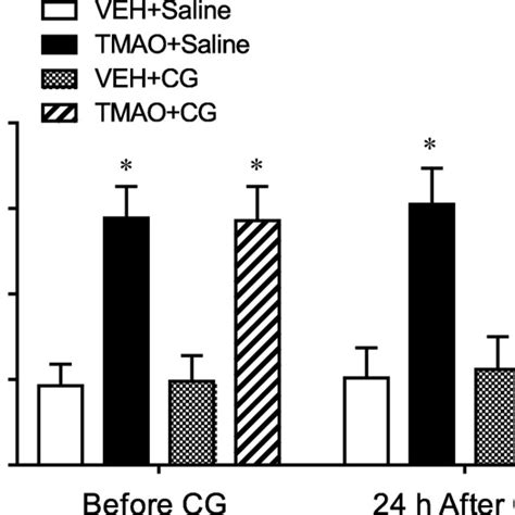 Effects Of TMAO Treatment On Plasma Levels Of TMAO Before And 24 H