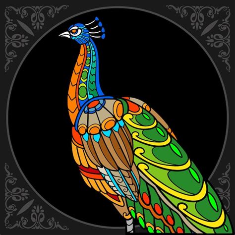 Premium Vector Colorful Peacock Bird Isolated On Black Background