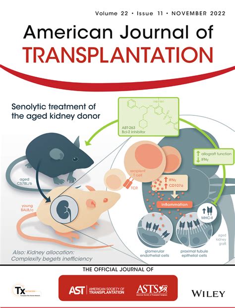 American Journal Of Transplantation Vol 22 No 11