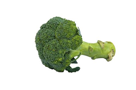 220 Brocolli Crown Stock Photos Pictures And Royalty Free Images Istock