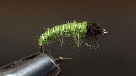 Video How To Tie The Green Caddis Larva With Images Fly Tying Fly