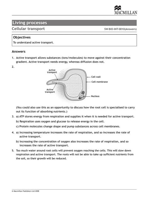 30 Active Transport Worksheet Worksheets Decoomo