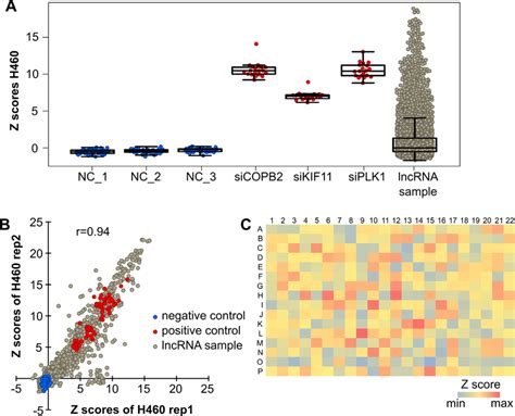 Quality assessment of siRNA screens addressing viability of H460 cells ... 