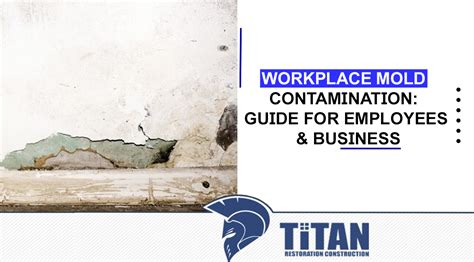 Workplace Mold Contamination | Titan Restoration Construction