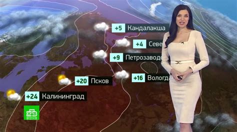 Человек в праве с Андреем Куницыным : NTV : April 28, 2024 4:20pm-5 ...