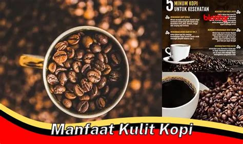 Temukan Manfaat Kulit Kopi Yang Jarang Diketahui Biotifor