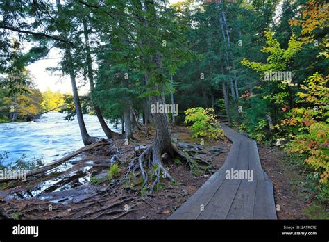 Lower Tahquamenon Falls Tahquamenon Falls State Park Upper Penninsula