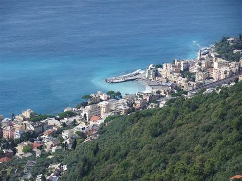 Chiesa Di Santa Croce Pieve Ligure What To Know Before You Go