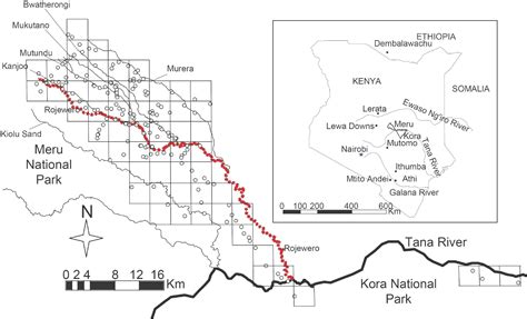 Frontiers Population Genetics Of The Naked Mole Rat Heterocephalus