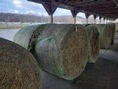 Round Bales Nd Timothy Orchard Grass Mix X Rogers Community