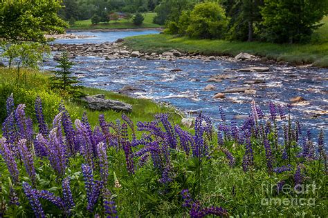 Blue River Photograph By Susan Cole Kelly Fine Art America