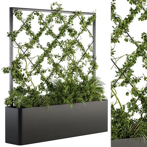 Vertical Garden Outdoor Green Wall D Model For Vray Corona