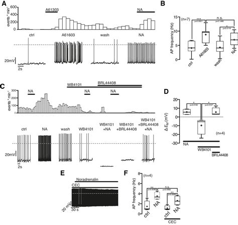 Figures And Data In Antagonistic Modulation Of Npy Agrp And Pomc