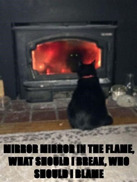 So Thats What Is Going On Black Cat Staring Into Fire Meme Lol