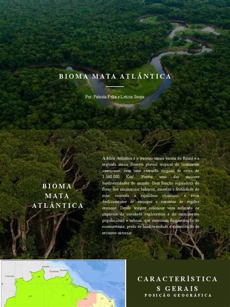 Características Do Bioma Mata Atlantica - Características da Mata Atlântica | PDF | Destruição do habitat | Habitat