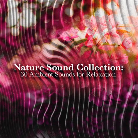 Nature Sound Collection 30 Ambient Sounds For Relaxation Album By