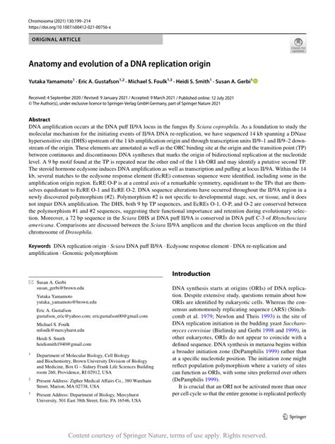 Anatomy and evolution of a DNA replication origin | Request PDF