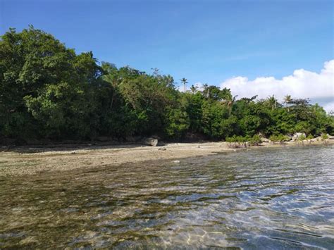 Sqm Clean Title Beach Property In Sandingan Island Loon Bohol At