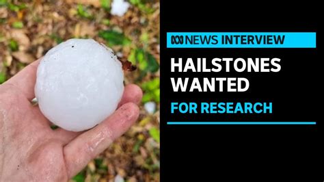 Giant Hailstones Wanted From Your Backyard For Research To Improve